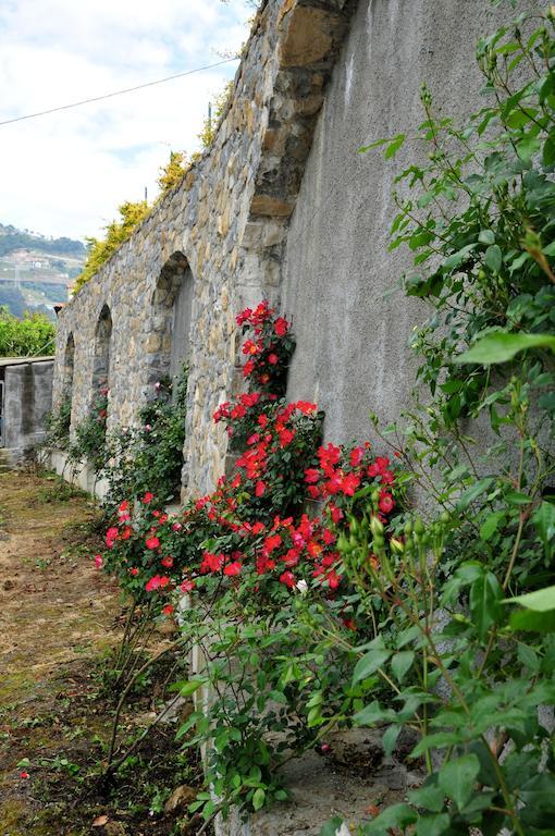 Le Rose Villa San Biagio della Cima Exterior photo
